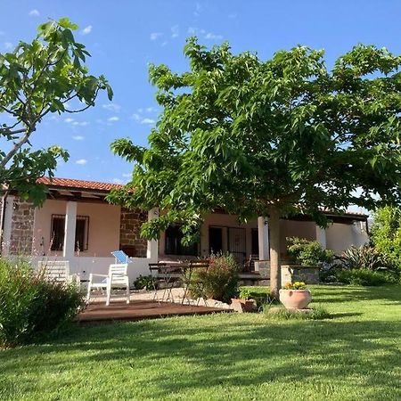 Countryside Villa In Sardinia Triei Kültér fotó