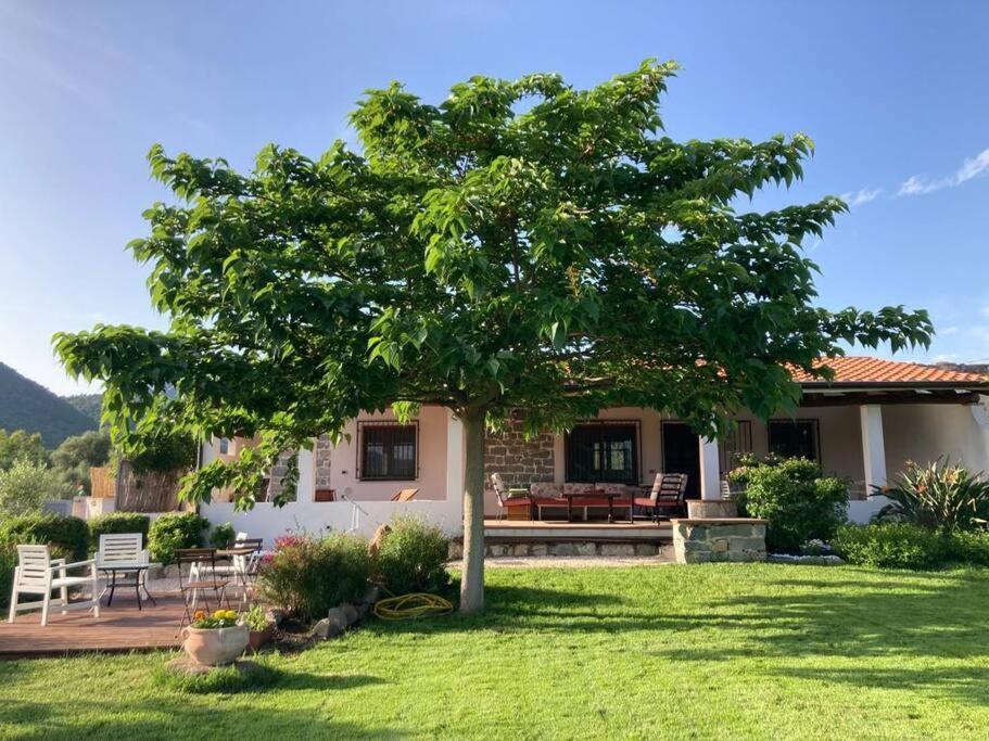 Countryside Villa In Sardinia Triei Kültér fotó